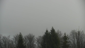 Chata Myslivna SKP Olomouc