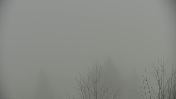 Chata Myslivna SKP Olomouc