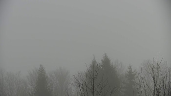 Chata Myslivna SKP Olomouc