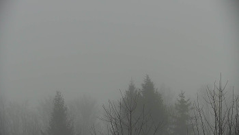 Chata Myslivna SKP Olomouc