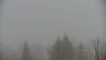 Chata Myslivna SKP Olomouc