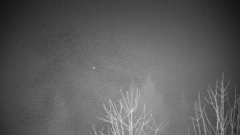 Chata Myslivna SKP Olomouc