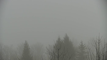 Chata Myslivna SKP Olomouc