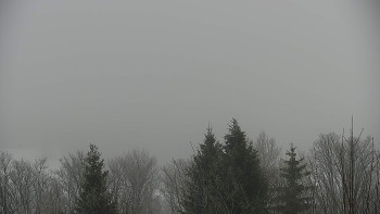 Chata Myslivna SKP Olomouc