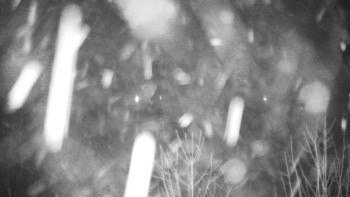 Chata Myslivna SKP Olomouc