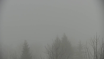 Chata Myslivna SKP Olomouc