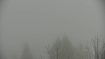 Chata Myslivna SKP Olomouc