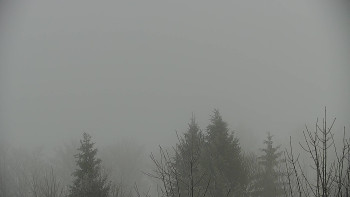 Chata Myslivna SKP Olomouc