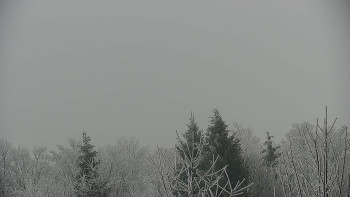 Chata Myslivna SKP Olomouc