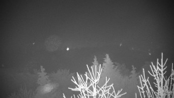 Chata Myslivna SKP Olomouc