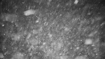 Chata Myslivna SKP Olomouc