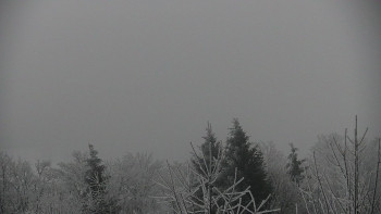 Chata Myslivna SKP Olomouc