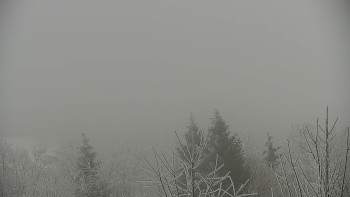 Chata Myslivna SKP Olomouc