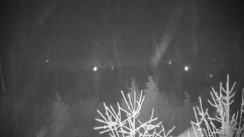 Chata Myslivna SKP Olomouc