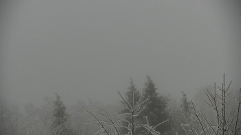 Chata Myslivna SKP Olomouc