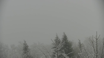 Chata Myslivna SKP Olomouc