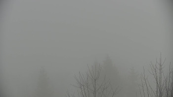 Chata Myslivna SKP Olomouc