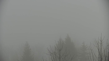 Chata Myslivna SKP Olomouc