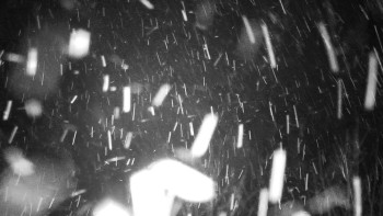 Chata Myslivna SKP Olomouc