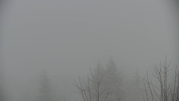 Chata Myslivna SKP Olomouc