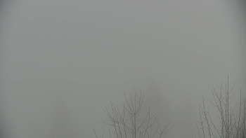 Chata Myslivna SKP Olomouc