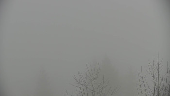 Chata Myslivna SKP Olomouc