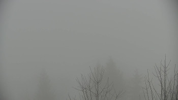 Chata Myslivna SKP Olomouc