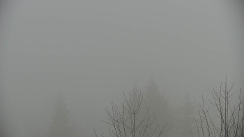 Chata Myslivna SKP Olomouc