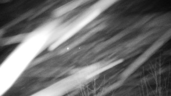 Chata Myslivna SKP Olomouc