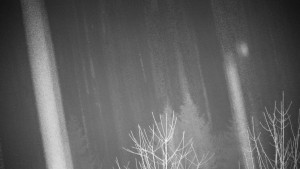 Chata Myslivna SKP Olomouc - Posezení - 22.2.2026 v 01:30