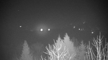 Chata Myslivna SKP Olomouc