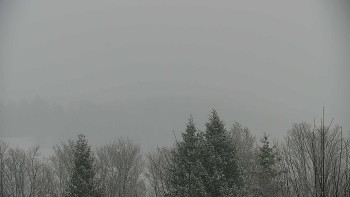 Chata Myslivna SKP Olomouc