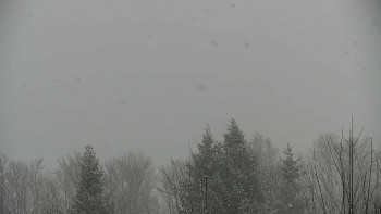 Chata Myslivna SKP Olomouc