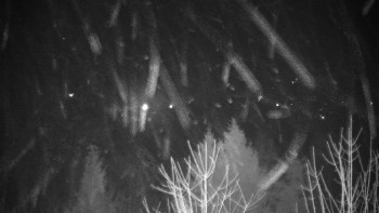 Chata Myslivna SKP Olomouc