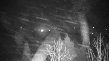 Chata Myslivna SKP Olomouc