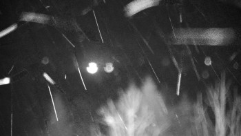 Chata Myslivna SKP Olomouc