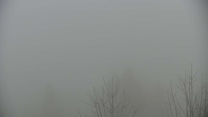 Chata Myslivna SKP Olomouc - Posezení - 5.4.2026 v 08:30 Chata Myslivna SKP Olomouc - Posezení - 5.4.2026 v 08:30