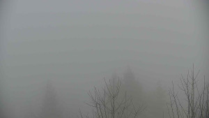 Chata Myslivna SKP Olomouc - Posezení - 5.4.2026 v 09:00 Chata Myslivna SKP Olomouc - Posezení - 5.4.2026 v 09:00