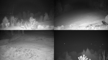 Snímek    11.5.2025 v 03:01
