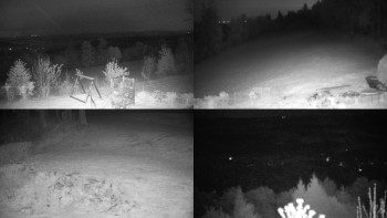 Snímek    14.5.2025 v 03:31