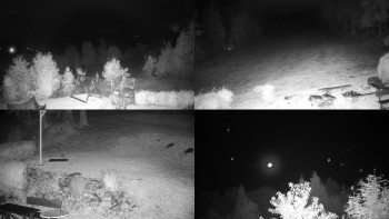 Snímek    18.10.2025 v 03:31