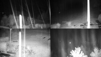 Snímek    23.10.2025 v 20:01