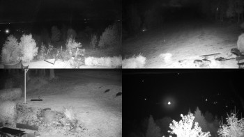 Snímek    23.10.2025 v 21:31