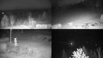 Snímek 7.11.2025 v 17:31