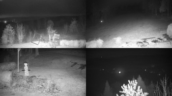 Snímek 8.11.2025 v 20:31