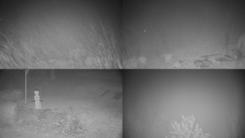 Snímek    9.11.2025 v 20:31