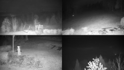 Sdružený snímek okolí chaty Myslivna