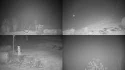 Sdružený snímek okolí chaty Myslivna