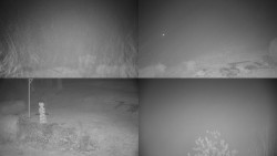 Sdružený snímek okolí chaty Myslivna