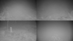 Sdružený snímek okolí chaty Myslivna